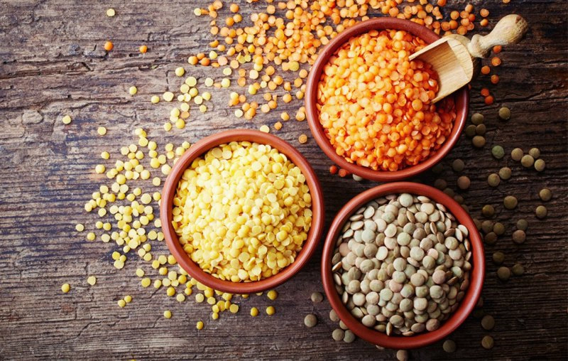 Protein trong cơ thể