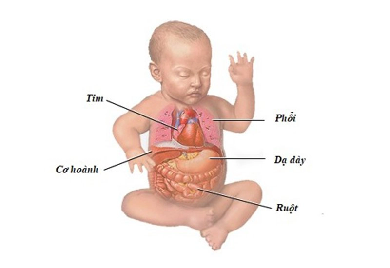 rối loạn tiêu hóa phổ biến ở trẻ