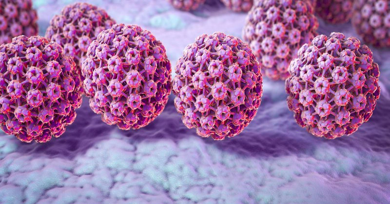 Sùi mào gà ở trẻ do virus HPV 1-4 gây nên