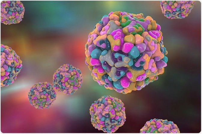 Enterovirus