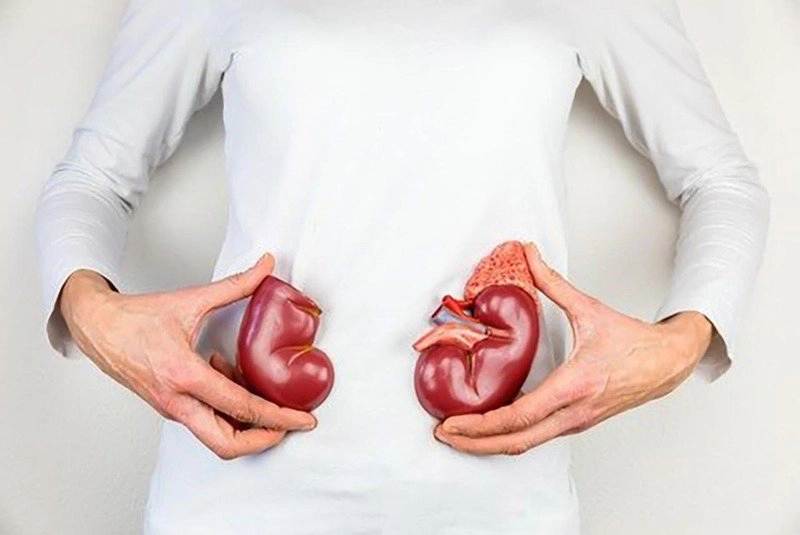 Các trường hợp cần xét nghiệm ure trong máu