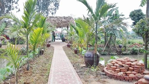Khung cảnh thanh bình ở làng quê Yên Đức. Khung cảnh thanh bình ở làng quê Yên Đức.