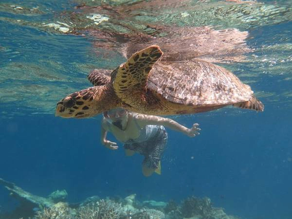 Lặn ống thở hay lặn bằng bình oxy để khám phá thế giới muôn màu trong lòng biển. Ảnh: Maldives thiên đường hạ giới. Lặn ống thở hay lặn bằng bình oxy để khám phá thế giới muôn màu trong lòng biển. Ảnh: Maldives thiên đường hạ giới.