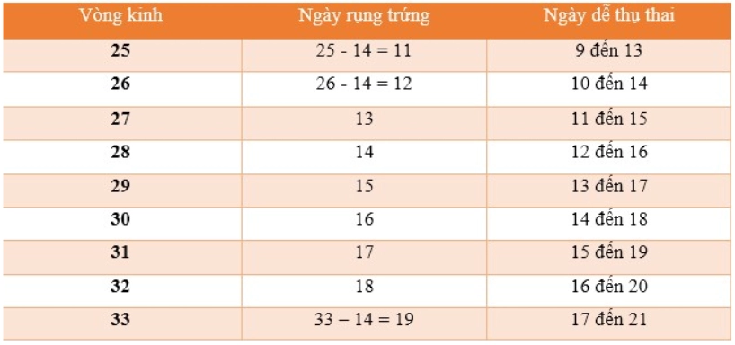 Cách tính ngày rụng trứng