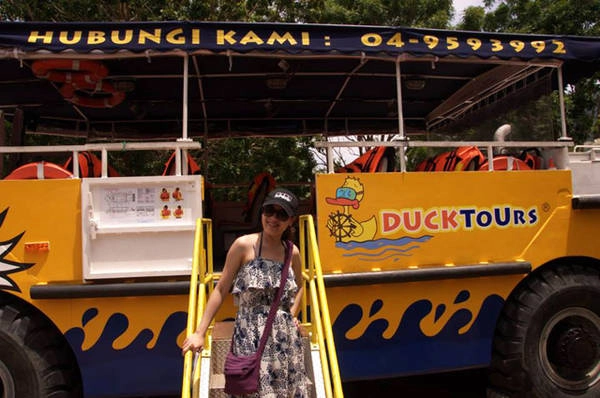 Xe đưa du khách đi tham quan Xe đưa du khách đi tham quan