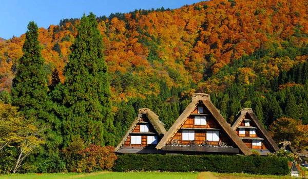 Ảnh: japandreamtours.com