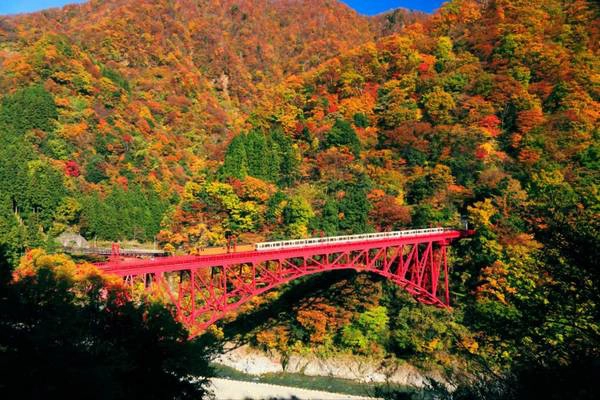 Ảnh: zekkeijapan.com