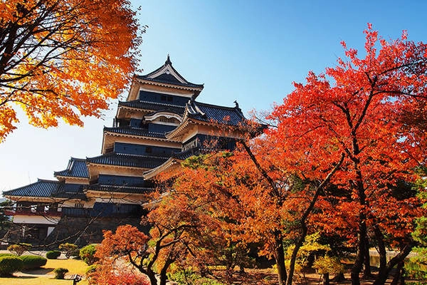 Ảnh: japan-magazine.jnto.go.jp 