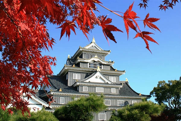 Ảnh: japan-magazine.jnto.go.jp