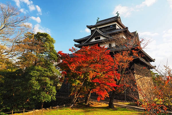 Ảnh: japan-magazine.jnto.go.jp