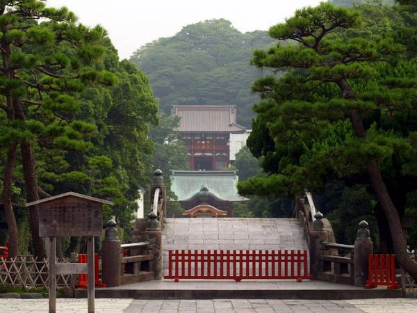 Đền Tsurugaoka Hachimangu. Ảnh: Youinjapan.net
