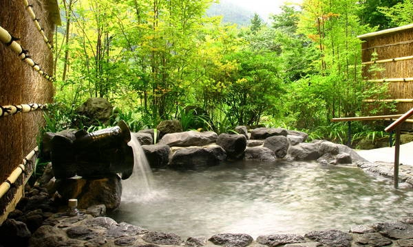 Suối nước nóng. Ảnh: Backyardtravel.com
