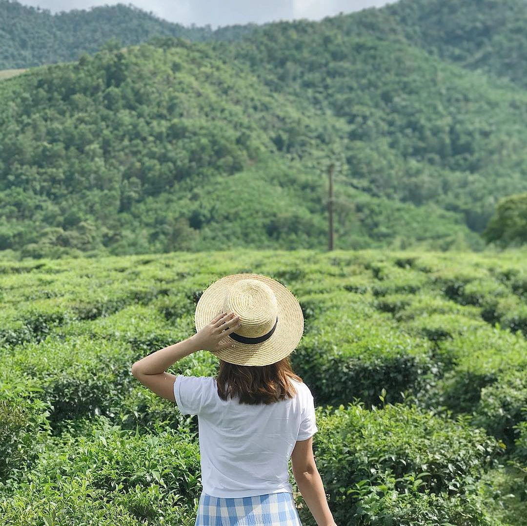 Đồi -chè -Đông- Giang-ivivu