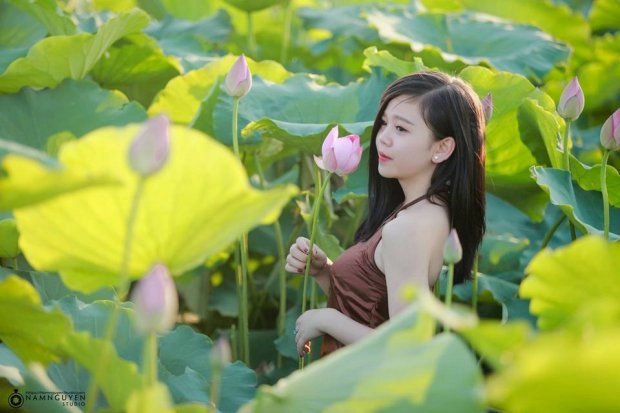 Địa điểm “sống ảo” này nhanh chóng nhận được sự quan tâm của giới trẻ. Rất nhiều bạn trẻ bày tỏ mong muốn và lên kế hoạch đến khám phá đầm sen rộng 6 mẫu! (Ảnh: Nam Nguyễn) Địa điểm “sống ảo” này nhanh chóng nhận được sự quan tâm của giới trẻ. Rất nhiều bạn trẻ bày tỏ mong muốn và lên kế hoạch đến khám phá đầm sen rộng 6 mẫu! (Ảnh: Nam Nguyễn)