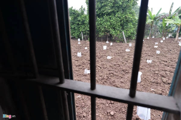 Đến nay ngôi nhà này vẫn tồn tại và được ví như một "báu vật" của làng Vũ Đại. Đến nay ngôi nhà này vẫn tồn tại và được ví như một "báu vật" của làng Vũ Đại.