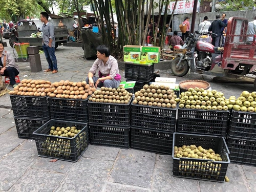 Kiwi, táo... là những loại trái cây được bán phổ biến ở Trung Quốc. Ảnh: Phương Anh. Kiwi, táo... là những loại trái cây được bán phổ biến ở Trung Quốc. Ảnh: Phương Anh.