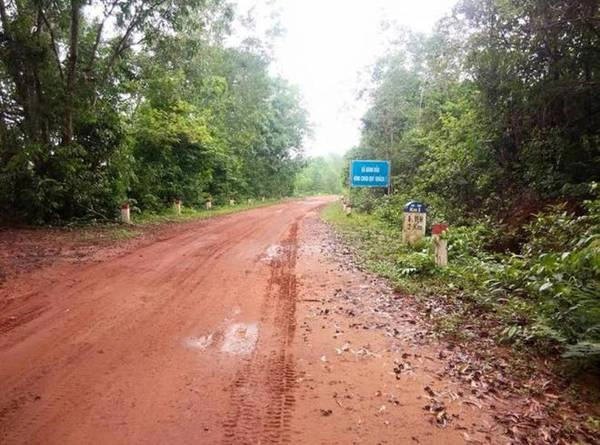 Khám phá bên trong cánh rừng nguyên sinh là một trải nghiệm thật tuyệt vời, giữa rừng già rong ruổi bánh xe nghe tiếng chim hót, tiếng mưa rừng cùng mùi đất hăng nồng xông lên mũi. Khám phá bên trong cánh rừng nguyên sinh là một trải nghiệm thật tuyệt vời, giữa rừng già rong ruổi bánh xe nghe tiếng chim hót, tiếng mưa rừng cùng mùi đất hăng nồng xông lên mũi.