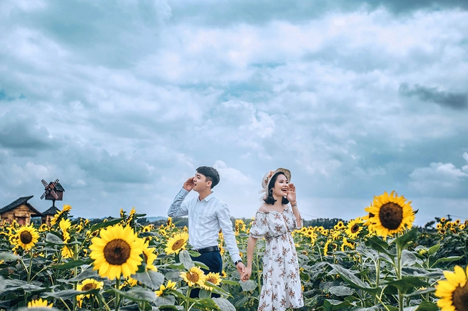 Bạn nên đi sớm để có được hình đẹp. Thời điểm lý tưởng từ 7h đến 11h sáng. Cánh đồng hoa cũng thu hút nhiều cặp đôi đến chụp ảnh cưới. Ảnh: Mạnh Thuỳ. Bạn nên đi sớm để có được hình đẹp. Thời điểm lý tưởng từ 7h đến 11h sáng. Cánh đồng hoa cũng thu hút nhiều cặp đôi đến chụp ảnh cưới. Ảnh: Mạnh Thuỳ.