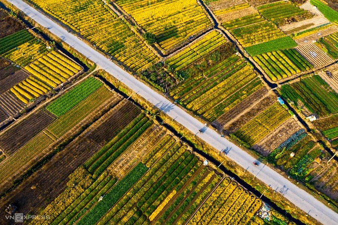 Những luống hoa nằm san sát là khung cảnh đặc trưng của đoạn đường qua thôn Nghĩa Trai, xã Tân Quang, huyện Văn Lâm, Hưng Yên, cách Hà Nội khoảng 30 km.