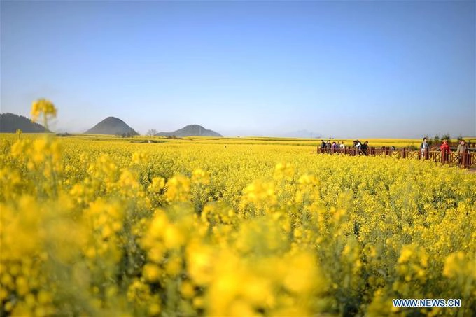 La Bình cách Côn Minh khoảng 270 km. Từ Việt Nam, bạn bay sang Côn Minh hoặc đi xe khách, sau đó đi bus hoặc tàu hoả tới La Bình, thời gian khoảng 3 tiếng.