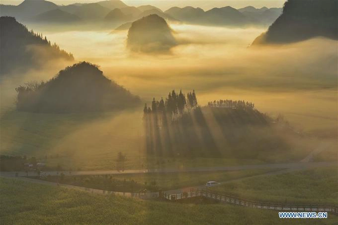 Ở Trung Quốc, ngoài La Bình (Vân Nam) thì Thanh Hải cũng là một địa danh nổi tiếng với hoa cải vàng nhưng mùa hoa lại sớm hơn, khoảng tháng 7-8.