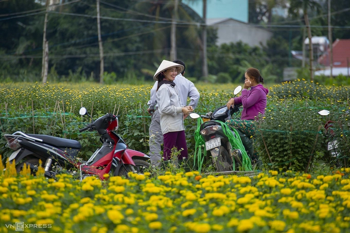 Những người làm vườn trò chuyện trên ruộng hoa. Theo các chủ vườn, cúc vạn thọ, cúc pha lê và mồng gà được trồng nhiều nhất. Gần Tết, các công đoạn chăm hoa như bón phân, tưới nước được thực hiện cẩn thận hơn để hoa nở đều, đẹp và bắt mắt nhất. 