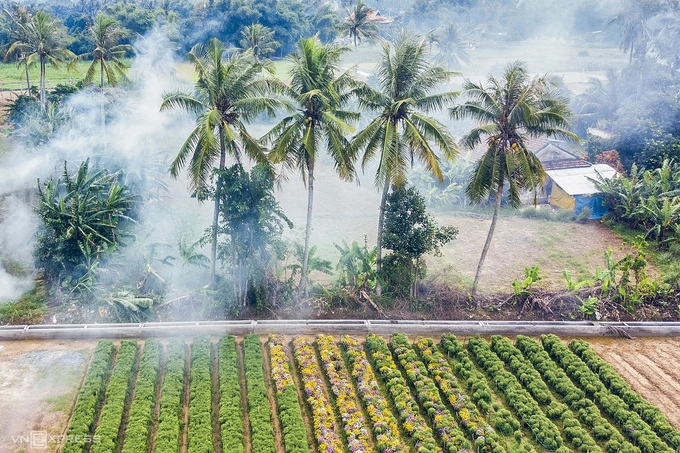 Góc ruộng tại xã Nghĩa Hà, cách trung tâm TP Quảng Ngãi hơn 10 km. Hoa tại đây được trồng quanh năm, chủ yếu là các giống lay ơn, cúc tai chuột vàng và cúc thạch bích. Mỗi cây cúc tại đây có giá 2.000 đồng vào ngày thường và cao gấp 3 - 4 lần trong các dịp lễ, Tết.