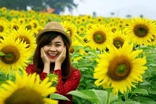Nghĩa Đàn cách Hà Nội chừng 250 km. Theo lối đường Hồ Chí Minh bạn có thể lựa chọn các nhà xe tại các bến xe lớn của Hà Nội như Mỹ Đình, Nước Ngầm...với giá cả dao động 150.000 - 215.000 đồng. Nghĩa Đàn cách Hà Nội chừng 250 km. Theo lối đường Hồ Chí Minh bạn có thể lựa chọn các nhà xe tại các bến xe lớn của Hà Nội như Mỹ Đình, Nước Ngầm...với giá cả dao động 150.000 - 215.000 đồng.