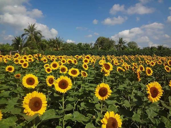 Ảnh: Người Miền Tây Ảnh: Người Miền Tây