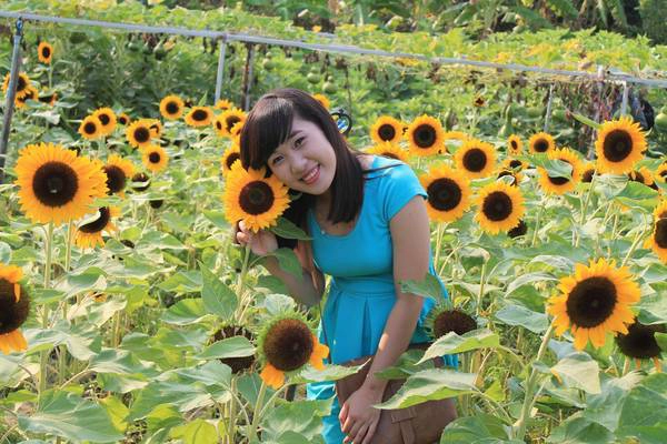 Ảnh: Duy Lê/ Mực Tím Online Ảnh: Duy Lê/ Mực Tím Online