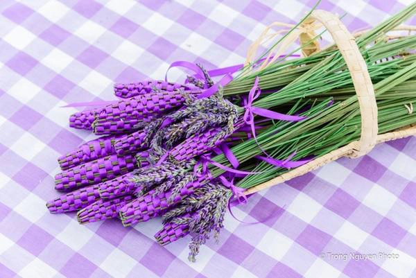 Những chủ nông trại cũng đồng thời là các nghệ nhân tài ba, họ kết oải hương thành các vòng (Wand) và bán ngay tại vườn. Những chủ nông trại cũng đồng thời là các nghệ nhân tài ba, họ kết oải hương thành các vòng (Wand) và bán ngay tại vườn.