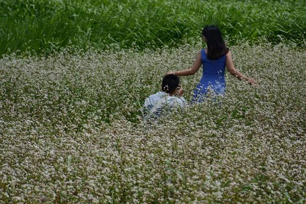 Ngoài lưu giữ hình ảnh cánh đồng hoa, các bạn trẻ có thể chụp hình bên cánh đồng cỏ bạt ngàn, hồ nước trong xanh cùng những ngôi nhà gỗ xinh xắn. Ngoài lưu giữ hình ảnh cánh đồng hoa, các bạn trẻ có thể chụp hình bên cánh đồng cỏ bạt ngàn, hồ nước trong xanh cùng những ngôi nhà gỗ xinh xắn.