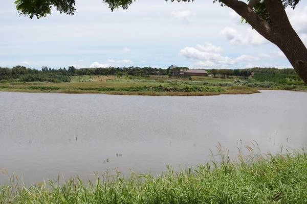 Cánh đồng hoa tam giác mạch đặc biệt này nằm ở thung lũng, cạnh đồng cỏ, bên một hồ nước, tạo thành bức tranh tuyệt đẹp hút hồn du khách. Cánh đồng hoa tam giác mạch đặc biệt này nằm ở thung lũng, cạnh đồng cỏ, bên một hồ nước, tạo thành bức tranh tuyệt đẹp hút hồn du khách.