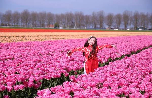 Đây cũng là thời điểm nhiều gia đình đưa con đi dã ngoại ngắm hoa và tận hưởng không khí trong lành ở khu ngoại ô. Đây cũng là thời điểm nhiều gia đình đưa con đi dã ngoại ngắm hoa và tận hưởng không khí trong lành ở khu ngoại ô.