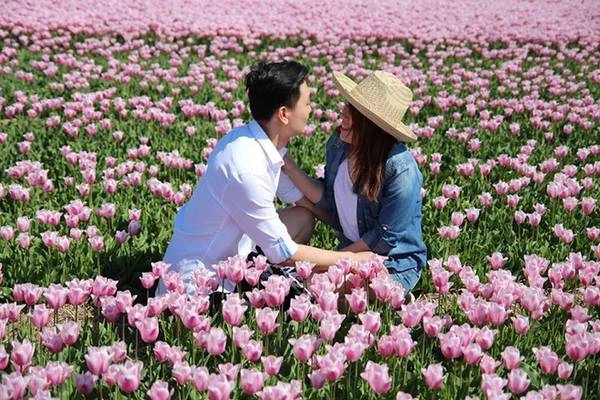 Để đến với làng Beemster, xuất phát từ Amsterdam bạn bắt tuyến xe bus 306, chưa đầy một giờ xe chạy là tới thẳng cánh đồng hoa. Để đến với làng Beemster, xuất phát từ Amsterdam bạn bắt tuyến xe bus 306, chưa đầy một giờ xe chạy là tới thẳng cánh đồng hoa.