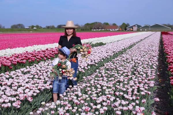 Chị Lips Pham, Việt kiều sinh sống ở Hà Lan 30 năm chia sẻ: “Tôi háo hức chờ đợi mỗi mùa tulip về để cả gia đình cùng đạp xe quanh làng, ngắm những cánh đồng hoa rực rỡ sắc màu, cùng chụp ảnh lưu niệm. Đây cũng là dịp gia đình được đón rất nhiều bạn bè, người thân đến chơi và tham quan cánh đồng hoa ở gần làng mình”. Chị Lips Pham, Việt kiều sinh sống ở Hà Lan 30 năm chia sẻ: “Tôi háo hức chờ đợi mỗi mùa tulip về để cả gia đình cùng đạp xe quanh làng, ngắm những cánh đồng hoa rực rỡ sắc màu, cùng chụp ảnh lưu niệm. Đây cũng là dịp gia đình được đón rất nhiều bạn bè, người thân đến chơi và tham quan cánh đồng hoa ở gần làng mình”.