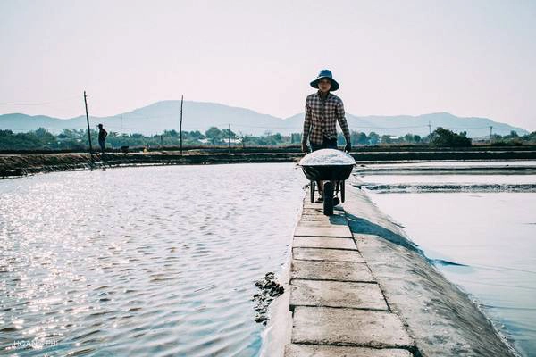 Muối thu hoạch tại đây đa số cung cấp cho Kiên Giang, Phú Quốc... để sản xuất nước mắm, chế biến hải sản, và cho các tàu cá để bảo quản hải sản. Muối thu hoạch tại đây đa số cung cấp cho Kiên Giang, Phú Quốc... để sản xuất nước mắm, chế biến hải sản, và cho các tàu cá để bảo quản hải sản.