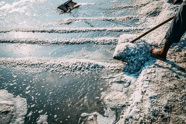 Trong ánh nắng rực rỡ, từng hạt muối đã được tạo hình. Hiện nay giá muối tại Bà Rịa - Vũng Tàu lên được 500 đồng/kg, diêm dân có lãi khoảng 160 đồng/kg. Đây là nguồn động lực để họ tiếp tục bám ruộng. Trong ánh nắng rực rỡ, từng hạt muối đã được tạo hình. Hiện nay giá muối tại Bà Rịa - Vũng Tàu lên được 500 đồng/kg, diêm dân có lãi khoảng 160 đồng/kg. Đây là nguồn động lực để họ tiếp tục bám ruộng.