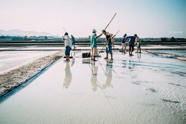 Nghề làm muối gắn với diêm dân Long Điền từ bao đời nay. Họ đã quen với cái nắng cháy da và vị mặn mòi của muối biển, dù thu nhập rất thấp. Nghề làm muối gắn với diêm dân Long Điền từ bao đời nay. Họ đã quen với cái nắng cháy da và vị mặn mòi của muối biển, dù thu nhập rất thấp.