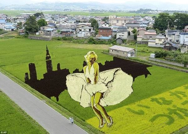 Inakadate là một ngôi làng nhỏ ở quận Aomori, phía Bắc đảo Honshu, Nhật Bản với dân số 8.000 người. Tuy nhiên, ngôi làng mỗi năm thu hút hàng trăm ngàn du khách đến tham quan nhờ sáng kiến độc đáo - nghệ thuật trồng lúa Tanbo. Inakadate là một ngôi làng nhỏ ở quận Aomori, phía Bắc đảo Honshu, Nhật Bản với dân số 8.000 người. Tuy nhiên, ngôi làng mỗi năm thu hút hàng trăm ngàn du khách đến tham quan nhờ sáng kiến độc đáo - nghệ thuật trồng lúa Tanbo.