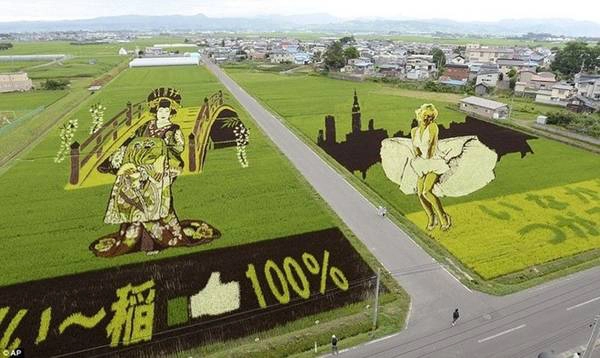 Từ năm 1993, những người nông dân làng Inakadate bắt đầu sáng tạo những bức vẽ khổng lồ trên những cánh đồng lúa xanh mướt bằng cách trộn nhiều loại lúa khác nhau. Từ năm 1993, những người nông dân làng Inakadate bắt đầu sáng tạo những bức vẽ khổng lồ trên những cánh đồng lúa xanh mướt bằng cách trộn nhiều loại lúa khác nhau.