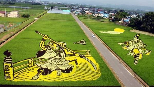 Để tạo ra những tác phẩm nghệ thuật độc đáo này, ban đầu họ phải thiết kế trên máy tính và tính toán cách gieo hạt. Sau đó, hàng trăm tình nguyện viên xuống đồng trồng các giống lúa biến đổi gien với nhiều màu sắc đa dạng như đỏ sẫm, vàng và trắng, với nền cảnh màu xanh lá cây để tạo ra những “bức họa đồng quê” tuyệt đẹp. Để tạo ra những tác phẩm nghệ thuật độc đáo này, ban đầu họ phải thiết kế trên máy tính và tính toán cách gieo hạt. Sau đó, hàng trăm tình nguyện viên xuống đồng trồng các giống lúa biến đổi gien với nhiều màu sắc đa dạng như đỏ sẫm, vàng và trắng, với nền cảnh màu xanh lá cây để tạo ra những “bức họa đồng quê” tuyệt đẹp.