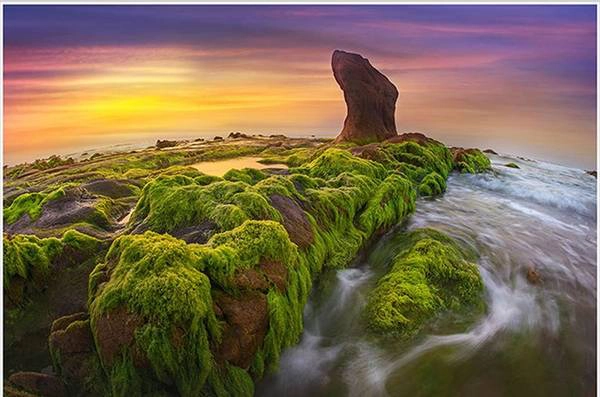 Cuộc thi và chuỗi triển lãm hướng tới kỷ niệm lần thứ 10 ngày Di sản Văn hóa Việt Nam 23/11. Khoảng 100 tác phẩm ảnh xuất sắc của 70 các nhiếp ảnh gia thuộc chủ đề di sản văn hóa vật thể, phi vật thể được đem ra trưng bày tại Đà Nẵng. Trong hình là tác phẩm "Rêu xanh cổ thạch" được tác giả Võ Hoài Huy chụp tại huyện Tuy Phong (tỉnh Bình Thuận).