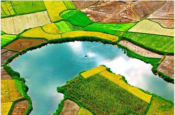 Đây cũng là kho tài sản phản ánh thiên nhiên tươi đẹp, nhằm đem đến cho người xem về đất nước, con người Việt Nam cần cù, hiếu khách. Trong hình là tác phẩm "Một góc Bắc Sơn" của tác giả Trần Quang Quý.