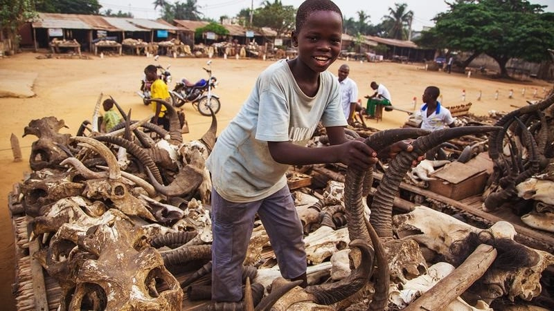 Tọa lạc ngay giữa thủ đô Lome của Togo (quốc gia thuộc Tây Phi), Akodessewa Fetish là khu chợ bán bùa ngải lớn nhất thế giới. Tại đây, người ta bán tất cả đồ dùng cần thiết phục vụ cho cúng bái và hành lễ mê tín.