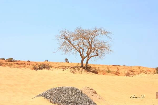 Tuy nhiên, dường như Hòa Thắng chỉ thực sự cuốn hút vào mùa khô, khi vẻ hoang dã và cô đơn phủ khắp cao nguyên hoang vắng. Tuy nhiên, dường như Hòa Thắng chỉ thực sự cuốn hút vào mùa khô, khi vẻ hoang dã và cô đơn phủ khắp cao nguyên hoang vắng.