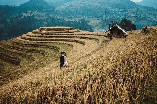 Công việc văn phòng, thời gian eo hẹp không ngăn cản được đam mê của đôi bạn trẻ. Cả hai đã dành những ngày nghỉ ít ỏi để cùng nhau đi khắp Việt Nam để tự chụp những bức ảnh tuyệt đẹp này. Từ miền Nam xa xôi, cả hai đã có những trải nghiệm thật đẹp tại Mù Cang Chải (Yên Bái) giữa mùa lúa chín.