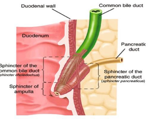 rối loạn chức năng Oddi