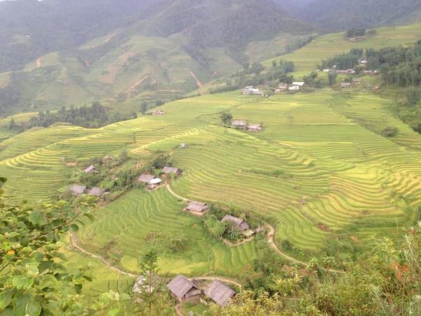 Ảnh: Sapa Heavenly Homestay Ảnh: Sapa Heavenly Homestay