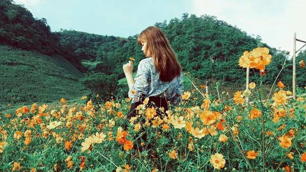 Ảnh: FB Mộc Châu Happy Land Ảnh: FB Mộc Châu Happy Land